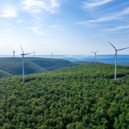 Sector Medio Ambiente